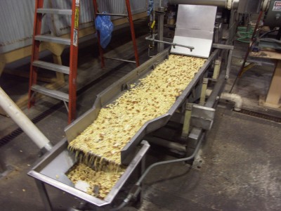 An almond’s journey from branch to palm: Moving around the production line.