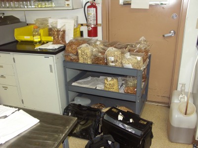 Samples from almond production lines.