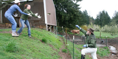 Investigators "lean in" to catch a thrown sample.