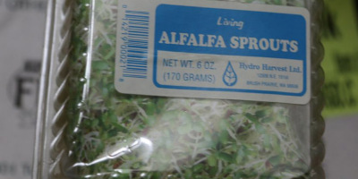 Reclaimed packaging from recalled alfalfa sprouts on display in the museum.