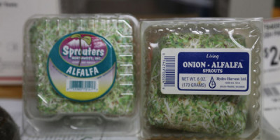 Reclaimed packaging from recalled alfalfa sprouts on display in the museum.