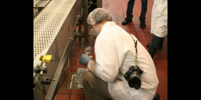 Epidemiologists swab floor drains in the milk processing facility.