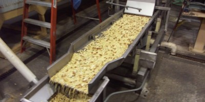 An almond’s journey from branch to palm: Moving around the production line.