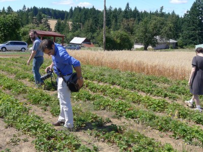 "Farm A": the initial visit to the strawberry farm suspected as the outbreak source.