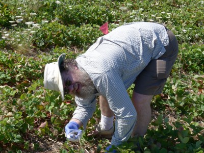 Dr. Keene gets into the weeds.