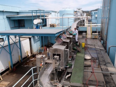 Crate washer machine located on the roof of the plant.