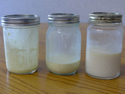 Milk jars from customer households – one of which tested positive for E. coli O157:H7.