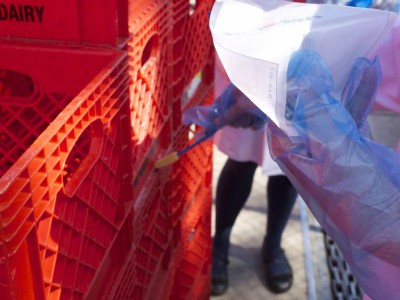 Epidemiologists swabbed in between crate crevices to get a good sample.