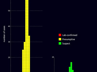 This outbreak's Epi Curve.