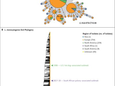 Nejmoa1907462 F3 Nejmoa1907462 F3